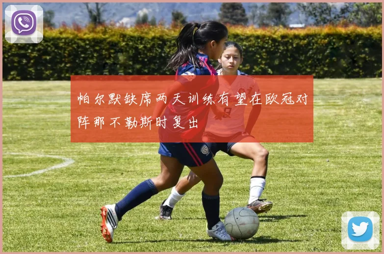 帕尔默缺席两天训练有望在欧冠对阵那不勒斯时复出